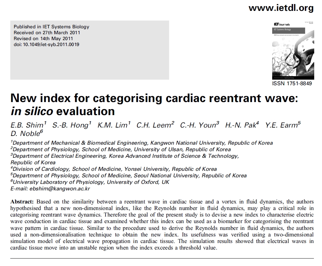 New index for categorising cardiac reentrant wave in silico evaluation.jpg 1034X855