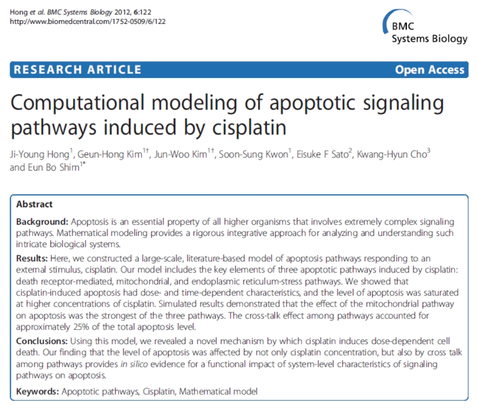 Computational Modeling of Apoptotic Signaling Pathways Induced by Cisplatin.jpg 939X803